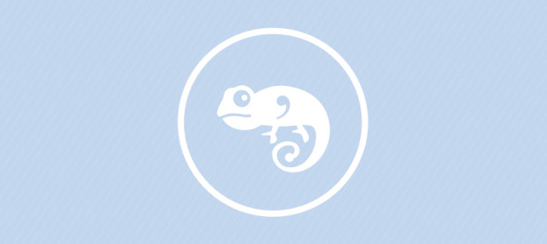 BlogHeader-Comma-Chameleon-PIM004-604x270