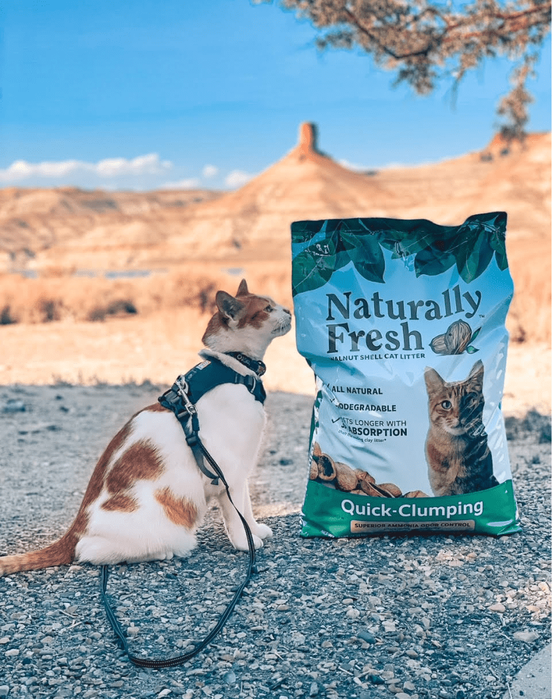 cat outdoors with Naturallyfresh Product